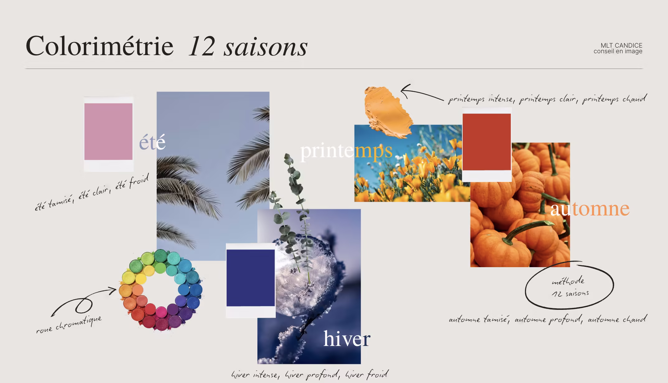 methode-des-douze-saisons-colorimetrie-experte-certifiee-paris-cote-d-azur-prestation-premium
